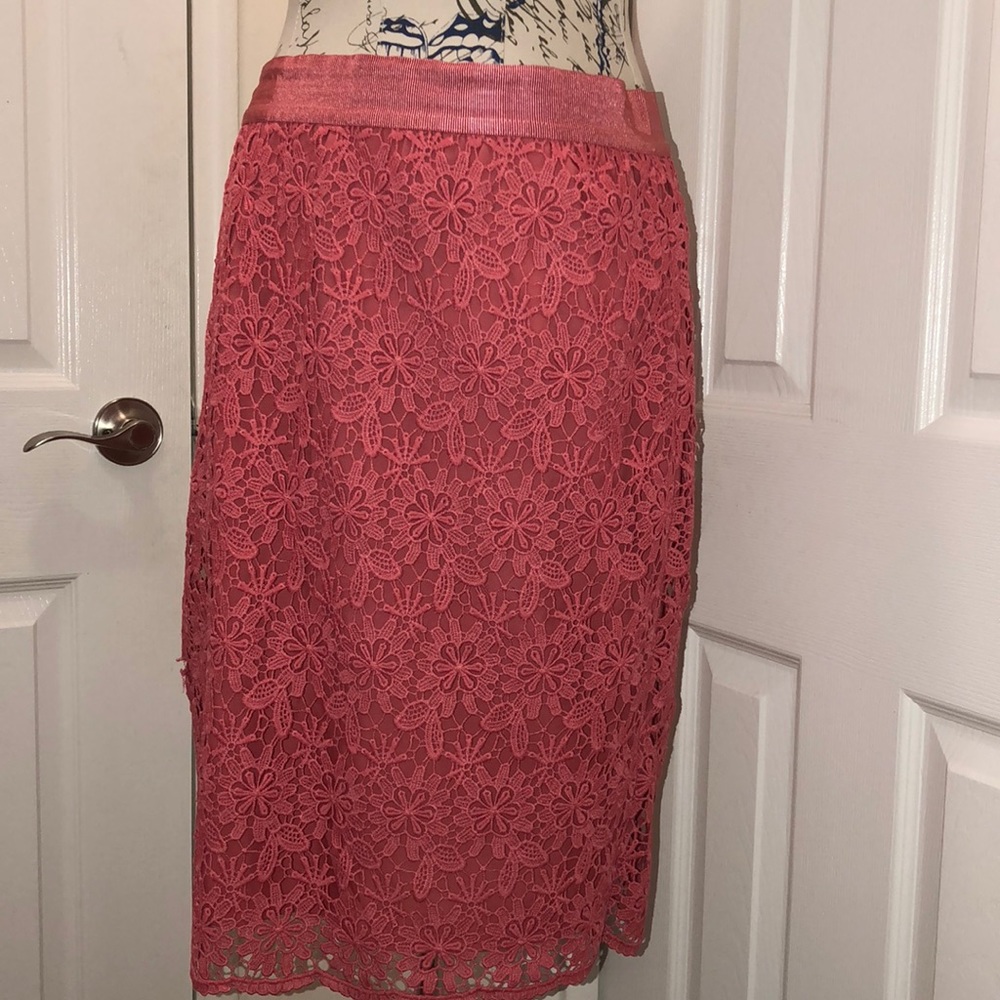 Ann Taylor Skirt